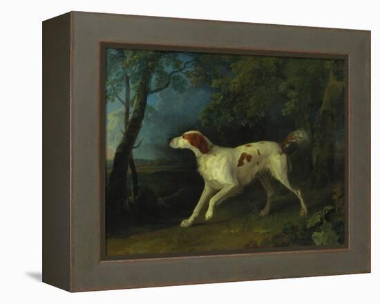 A Brown and White Setter in a Wooded Landscape-Sawrey Gilpin-Framed Premier Image Canvas