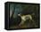 A Brown and White Setter in a Wooded Landscape-Sawrey Gilpin-Framed Premier Image Canvas