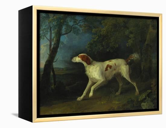 A Brown and White Setter in a Wooded Landscape-Sawrey Gilpin-Framed Premier Image Canvas