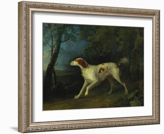 A Brown and White Setter in a Wooded Landscape-Sawrey Gilpin-Framed Giclee Print