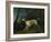 A Brown and White Setter in a Wooded Landscape-Sawrey Gilpin-Framed Giclee Print