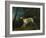 A Brown and White Setter in a Wooded Landscape-Sawrey Gilpin-Framed Giclee Print