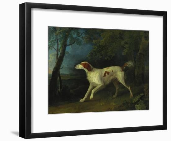 A Brown and White Setter in a Wooded Landscape-Sawrey Gilpin-Framed Giclee Print