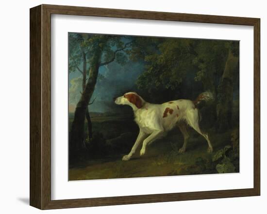 A Brown and White Setter in a Wooded Landscape-Sawrey Gilpin-Framed Giclee Print