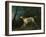 A Brown and White Setter in a Wooded Landscape-Sawrey Gilpin-Framed Giclee Print