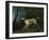 A Brown and White Setter in a Wooded Landscape-Sawrey Gilpin-Framed Giclee Print