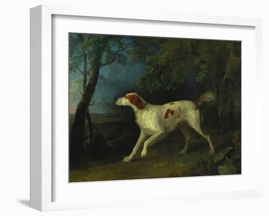 A Brown and White Setter in a Wooded Landscape-Sawrey Gilpin-Framed Giclee Print