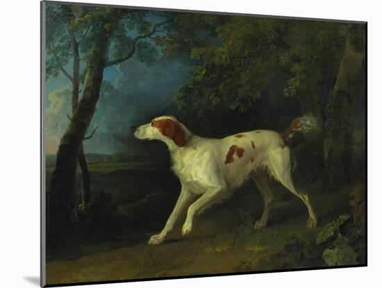 A Brown and White Setter in a Wooded Landscape-Sawrey Gilpin-Mounted Giclee Print