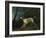 A Brown and White Setter in a Wooded Landscape-Sawrey Gilpin-Framed Giclee Print