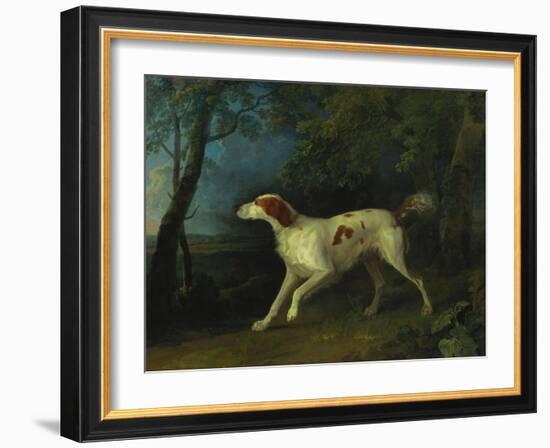 A Brown and White Setter in a Wooded Landscape-Sawrey Gilpin-Framed Giclee Print