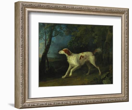 A Brown and White Setter in a Wooded Landscape-Sawrey Gilpin-Framed Giclee Print