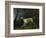 A Brown and White Setter in a Wooded Landscape-Sawrey Gilpin-Framed Giclee Print