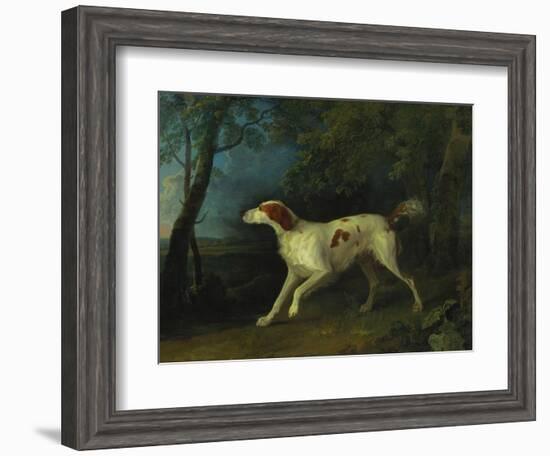 A Brown and White Setter in a Wooded Landscape-Sawrey Gilpin-Framed Giclee Print