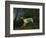 A Brown and White Setter in a Wooded Landscape-Sawrey Gilpin-Framed Giclee Print