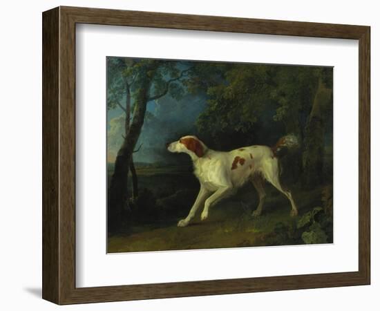 A Brown and White Setter in a Wooded Landscape-Sawrey Gilpin-Framed Giclee Print