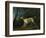 A Brown and White Setter in a Wooded Landscape-Sawrey Gilpin-Framed Giclee Print