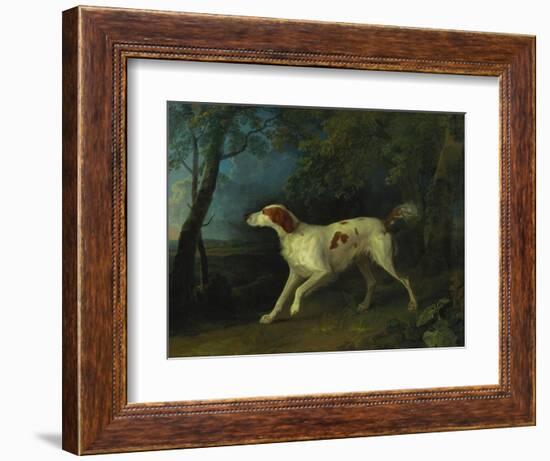 A Brown and White Setter in a Wooded Landscape-Sawrey Gilpin-Framed Giclee Print