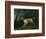 A Brown and White Setter in a Wooded Landscape-Sawrey Gilpin-Framed Giclee Print