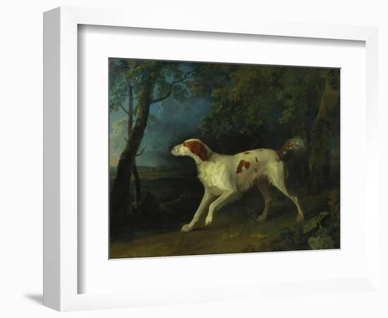 A Brown and White Setter in a Wooded Landscape-Sawrey Gilpin-Framed Giclee Print