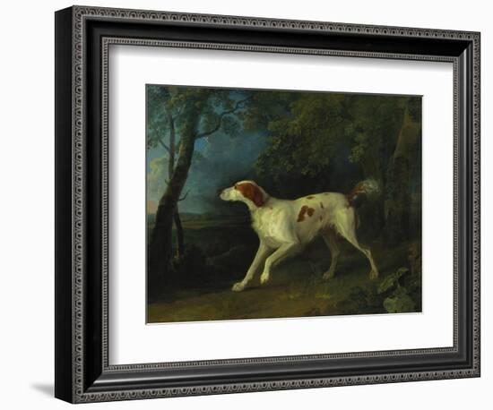 A Brown and White Setter in a Wooded Landscape-Sawrey Gilpin-Framed Giclee Print