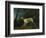 A Brown and White Setter in a Wooded Landscape-Sawrey Gilpin-Framed Giclee Print