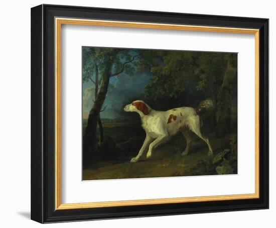 A Brown and White Setter in a Wooded Landscape-Sawrey Gilpin-Framed Giclee Print