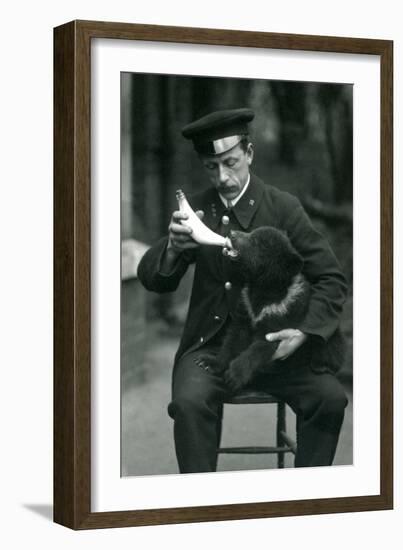 A Brown Bear Cub Being Bottle Fed by Keeper, Leslie Martin Flewin, at London Zoo in May 1914-Frederick William Bond-Framed Photographic Print