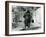 A Brown Bear Stands Upright on its Hind Legs, Mappin Terraces, London Zoo, August 1921-Frederick William Bond-Framed Photographic Print