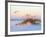 A Brown Pelican Flies over a White Sand Florida Beach at Sunrise-Steve Bower-Framed Photographic Print