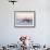 A Brown Pelican Flies over a White Sand Florida Beach at Sunrise-Steve Bower-Framed Photographic Print displayed on a wall