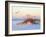 A Brown Pelican Flies over a White Sand Florida Beach at Sunrise-Steve Bower-Framed Photographic Print