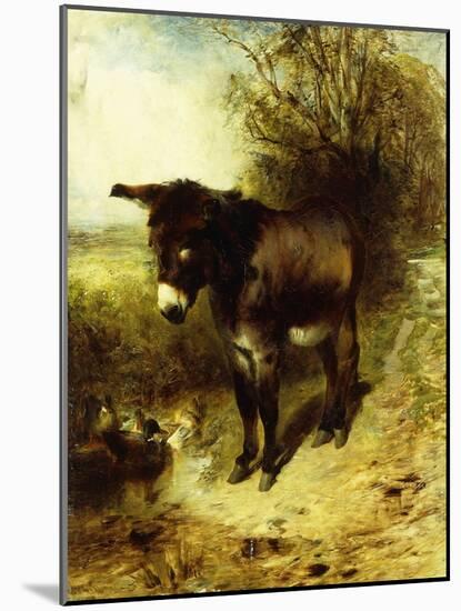 A Brown Study, 1853-William Huggins-Mounted Giclee Print