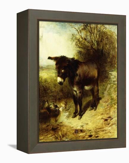 A Brown Study, 1853-William Huggins-Framed Premier Image Canvas