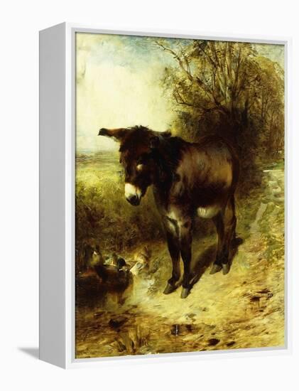 A Brown Study, 1853-William Huggins-Framed Premier Image Canvas