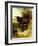 A Brown Study, 1853-William Huggins-Framed Premium Giclee Print