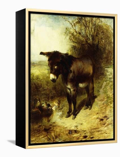 A Brown Study-William Huggins-Framed Premier Image Canvas