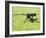 A Browning M2 .50 Caliber Heavy Machine Gun-Stocktrek Images-Framed Photographic Print