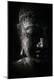 Premium Photographic Print