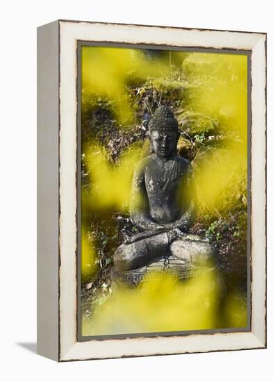 A Buddha Statue in the Garden of Zen Temple Ryumonji Surrounded by Forsythia-null-Framed Premier Image Canvas