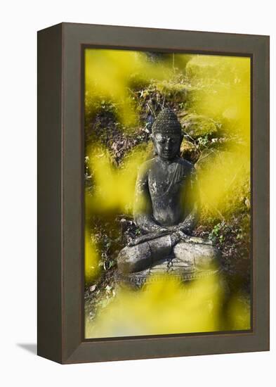 A Buddha Statue in the Garden of Zen Temple Ryumonji Surrounded by Forsythia-null-Framed Premier Image Canvas