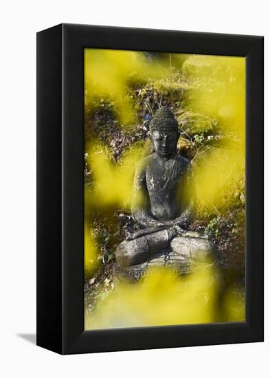 A Buddha Statue in the Garden of Zen Temple Ryumonji Surrounded by Forsythia-null-Framed Premier Image Canvas