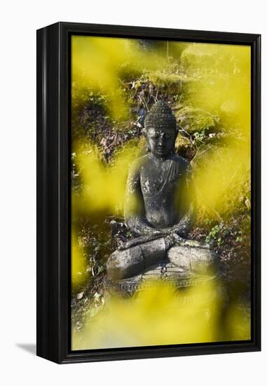 A Buddha Statue in the Garden of Zen Temple Ryumonji Surrounded by Forsythia-null-Framed Premier Image Canvas