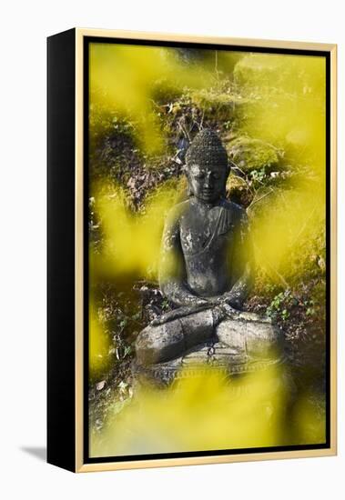 A Buddha Statue in the Garden of Zen Temple Ryumonji Surrounded by Forsythia-null-Framed Premier Image Canvas
