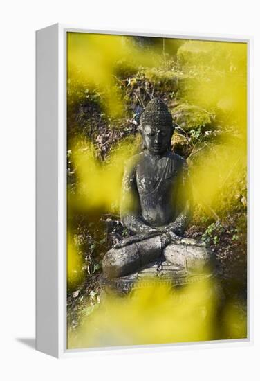 A Buddha Statue in the Garden of Zen Temple Ryumonji Surrounded by Forsythia-null-Framed Premier Image Canvas