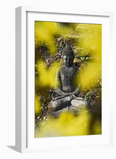 A Buddha Statue in the Garden of Zen Temple Ryumonji Surrounded by Forsythia-null-Framed Photographic Print