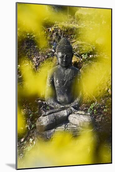 A Buddha Statue in the Garden of Zen Temple Ryumonji Surrounded by Forsythia-null-Mounted Photographic Print