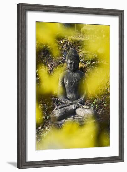 A Buddha Statue in the Garden of Zen Temple Ryumonji Surrounded by Forsythia--Framed Photographic Print