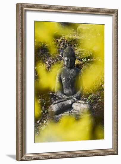 A Buddha Statue in the Garden of Zen Temple Ryumonji Surrounded by Forsythia-null-Framed Photographic Print