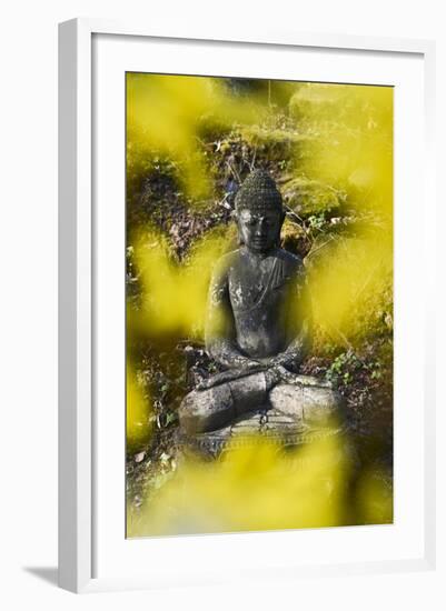 A Buddha Statue in the Garden of Zen Temple Ryumonji Surrounded by Forsythia--Framed Photographic Print