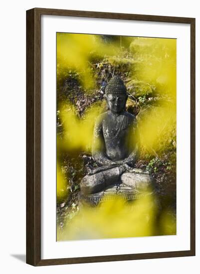 A Buddha Statue in the Garden of Zen Temple Ryumonji Surrounded by Forsythia-null-Framed Photographic Print
